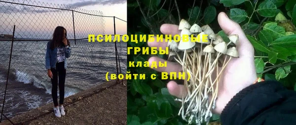ALPHA PVP Алзамай