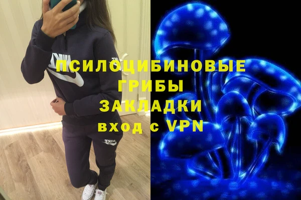 ALPHA PVP Алзамай