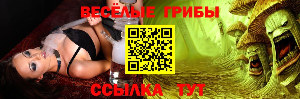 Псилоцибиновые грибы Psilocybe Изобильный