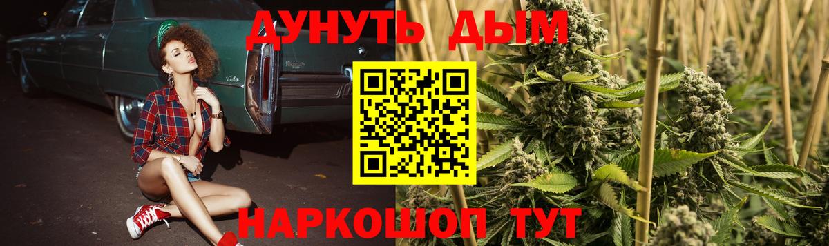Каннабис конопля  Конопля гибрид  Бошки Шишки планчик  Изобильный  Вход с VPN 